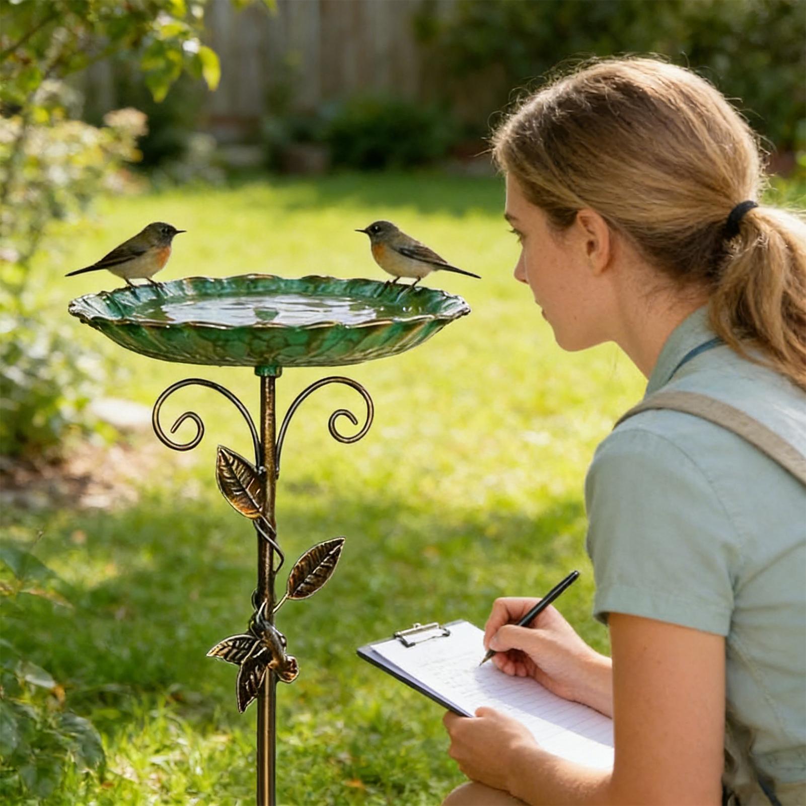 Bird Baths for Outdoors 30 inc - огляд і ціна Bath
